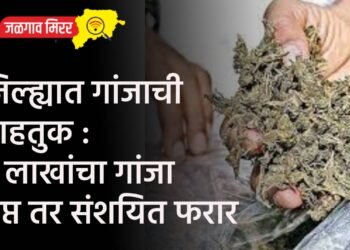 जिल्ह्यात गांजाची वाहतुक : २ लाखांचा गांजा जप्त तर संशयित फरार