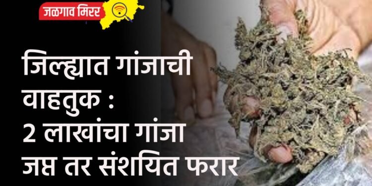 जिल्ह्यात गांजाची वाहतुक : २ लाखांचा गांजा जप्त तर संशयित फरार