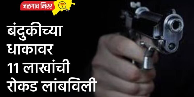 बंदुकीच्या धाकावर ११ लाखांची रोकड लांबविली