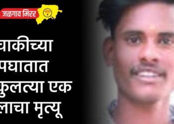 दुचाकीच्या अपघातात एकुलत्या एक मुलाचा मृत्यू