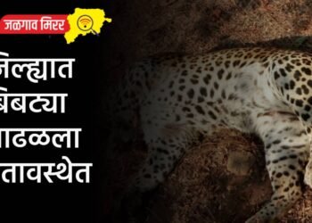 दुचाकीच्या अपघातात एकुलत्या एक मुलाचा मृत्यू