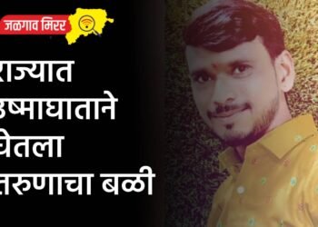 राज्यात उष्माघाताने घेतला तरुणाचा बळी