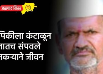 विमा कंपनीकडून पैसे मिळण्यासाठी चोरीचा बनाव !