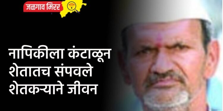 विमा कंपनीकडून पैसे मिळण्यासाठी चोरीचा बनाव !