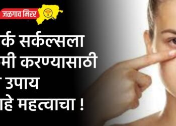 जळगाव आणि रावेर लोकसभा निवडणुकीसाठी, सामान्य निरीक्षक आणि पोलीस निरीक्षक निश्चित