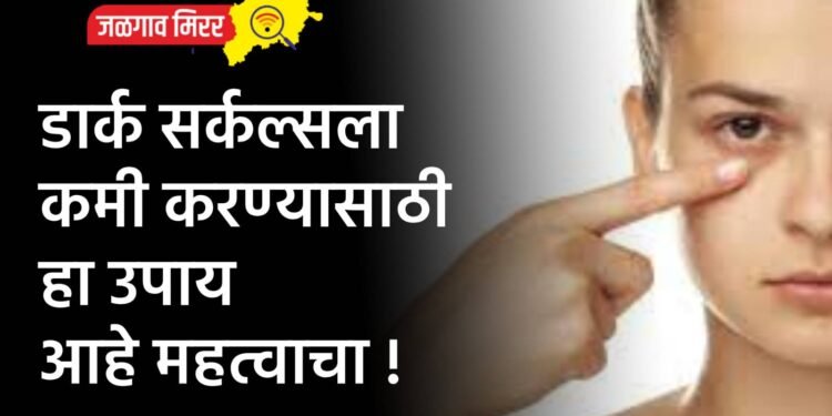 जळगाव आणि रावेर लोकसभा निवडणुकीसाठी, सामान्य निरीक्षक आणि पोलीस निरीक्षक निश्चित
