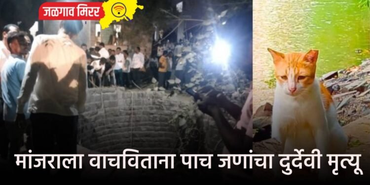 मांजराला वाचविताना पाच जणांचा दुर्देवी मृत्यू