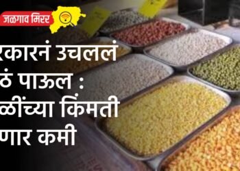 सरकारनं उचललं मोठं पाऊल : डाळींच्या किंमती होणार कमी