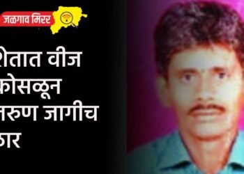शेतात वीज कोसळून तरुण जागीच ठार