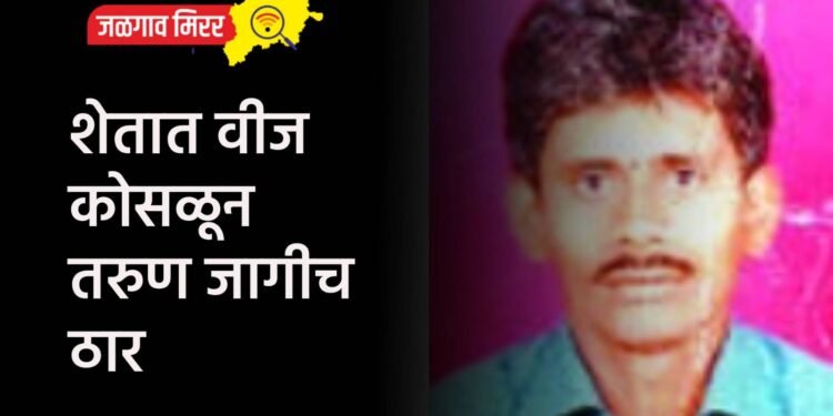 शेतात वीज कोसळून तरुण जागीच ठार