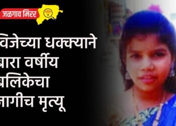 विजेच्या धक्क्याने बारा वर्षीय बलिकेचा जागीच मृत्यू