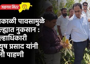 अवकाळी पावसामुळे जिल्ह्यात नुकसान : जिल्हाधिकारी आयुष प्रसाद यांनी केली पाहणी