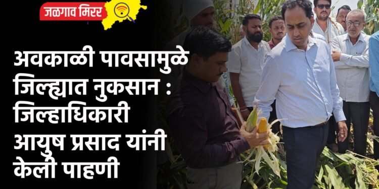 अवकाळी पावसामुळे जिल्ह्यात नुकसान : जिल्हाधिकारी आयुष प्रसाद यांनी केली पाहणी