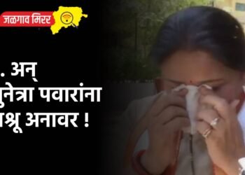 इंडिया आघाडीच्या इंजिनला डबेच नाही ; फडणवीसांचे टीकास्त्र