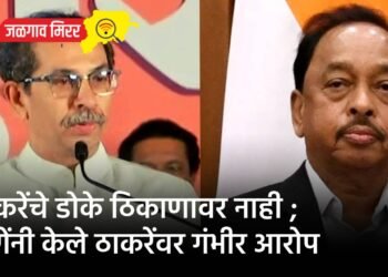 ठाकरेंचे डोके ठिकाणावर नाही ; राणेंनी केले ठाकरेंवर गंभीर आरोप