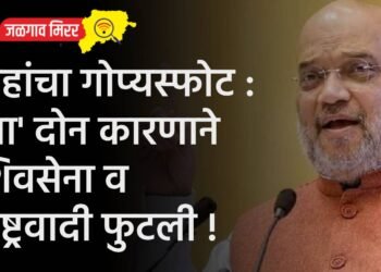 शहांचा गोप्यस्फोट : ‘या’ दोन कारणाने शिवसेना व राष्ट्रवादी फुटली !