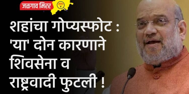 शहांचा गोप्यस्फोट : ‘या’ दोन कारणाने शिवसेना व राष्ट्रवादी फुटली !