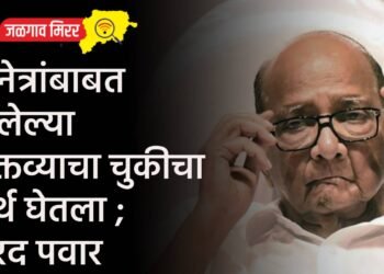 ‘सुनेत्रांबाबत केलेल्या वक्तव्याचा चुकीचा अर्थ घेतला ; शरद पवार