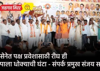 ग्रामसेविकेने घेतली १५ हजारांची लाच : एसीबीची कारवाई