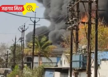 जळगावात केमिकल कंपनीला भीषण आग ; कर्मचारी गंभीर जखमी