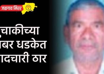 दुचाकीच्या जबर धडकेत पादचारी ठार