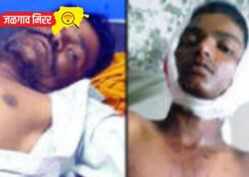 दोन मजुरांवर रानडुकराचा हल्ला
