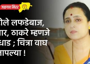 दोन मजुरांवर रानडुकराचा हल्ला