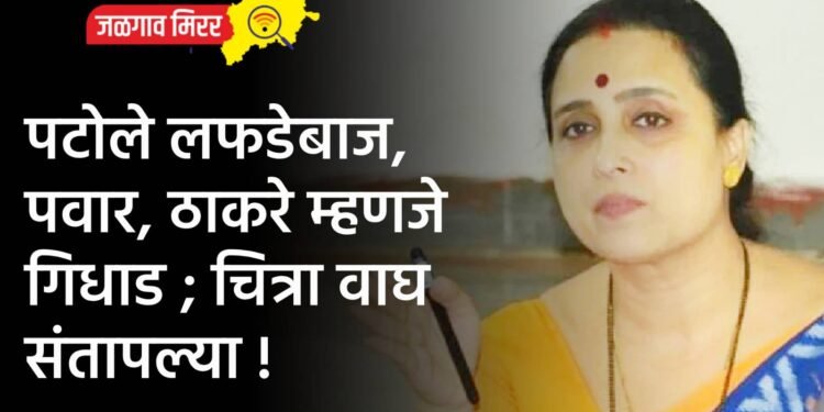 दोन मजुरांवर रानडुकराचा हल्ला