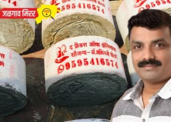 पशु पक्षांना जळगावात होतेय पाण्याची व्यवस्था !