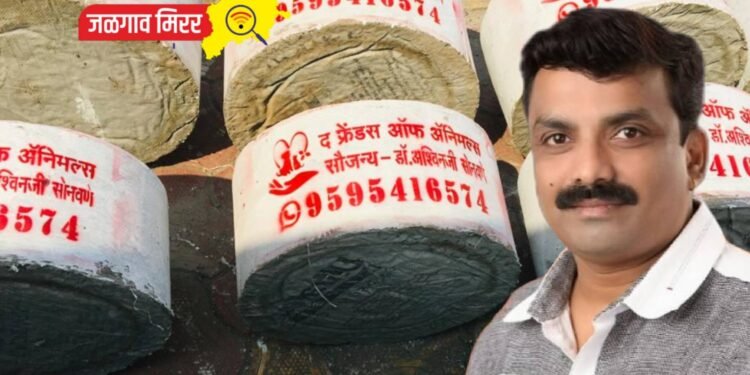 पशु पक्षांना जळगावात होतेय पाण्याची व्यवस्था !