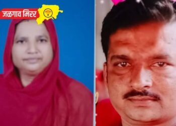 माणुसकीला काळिमा : रागात मुलाने घेतला आईचा जीव