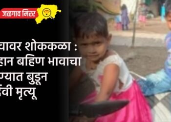 ठाकरेंनी दिली होती शिंदेंना मुख्यमंत्री पदाची ऑफर !