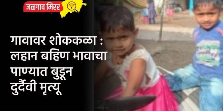 ठाकरेंनी दिली होती शिंदेंना मुख्यमंत्री पदाची ऑफर !