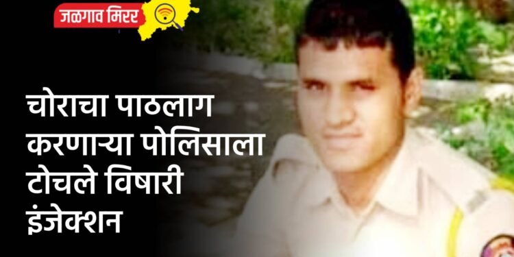 मोठी बातमी : मनसे नेते अविनाश जाधवांवर खंडणीचा गुन्हा दाखल