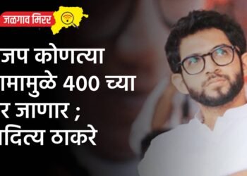 भाजप कोणत्या कामामुळे ४०० च्या पार जाणार ; आदित्य ठाकरे