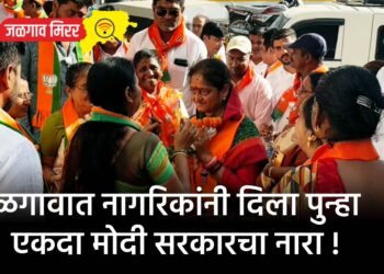 लग्नाला जाणे पडले महागात : चोरट्यांचा शिक्षणाच्या पैश्यावर डल्ला