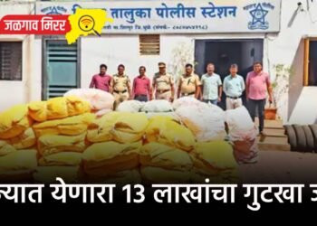 राज्यात येणारा १३ लाखांचा गुटखा जप्त