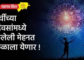 पूर्वीच्या दिवसांमध्ये केलेली मेहनत फळाला येणार !