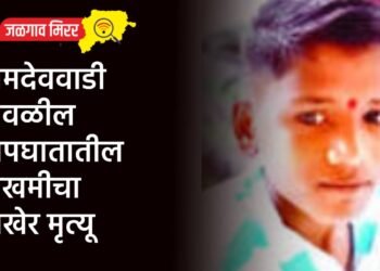 जळगावात पहाटेच्या सुमारास गोळीबार ; संशयित अटकेत