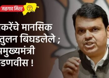ठाकरेंचे मानसिक संतुलन बिघडलेले ; उपमुख्यमंत्री फडणवीस !