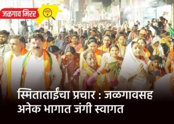 ठाकरेंचे मानसिक संतुलन बिघडलेले ; उपमुख्यमंत्री फडणवीस !