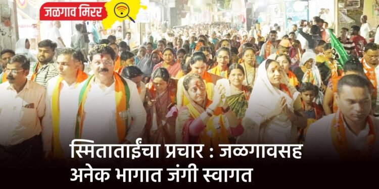 ठाकरेंचे मानसिक संतुलन बिघडलेले ; उपमुख्यमंत्री फडणवीस !