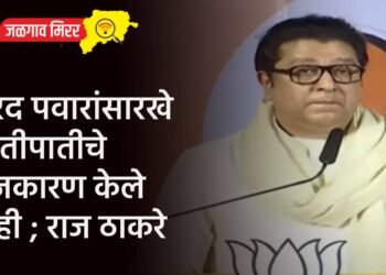 शरद पवारांसारखे जातीपातीचे राजकारण केले नाही ; राज ठाकरे