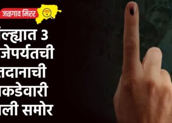 जिल्ह्यात ३ वाजेपर्यतची मतदानाची आकडेवारी आली समोर