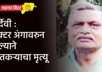 पावसाचा जोरदार तडाखा : महाकाय होर्डिंग पडल्याने ८ जणांचा मृत्यू