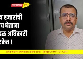 जळगावात एसीबीचे कारवाई : पाच हजारांची लाच घेताना मंडळ अधिकारी अटकेत !