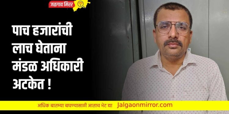 जळगावात एसीबीचे कारवाई : पाच हजारांची लाच घेताना मंडळ अधिकारी अटकेत !