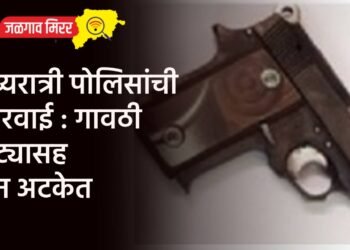 मध्यरात्री पोलिसांची कारवाई : गावठी कट्यासह दोन अटकेत