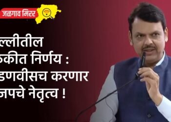 दिल्लीतील बैठकीत निर्णय : फडणवीसच करणार भाजपचे नेतृत्व !