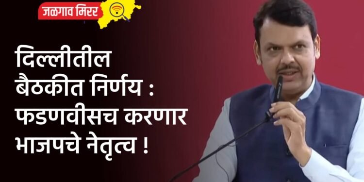 दिल्लीतील बैठकीत निर्णय : फडणवीसच करणार भाजपचे नेतृत्व !